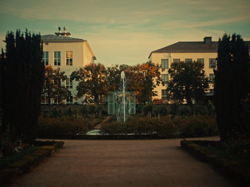 Hochgeladenes Bild Nummer 60