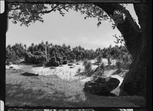 Uploaded image #1