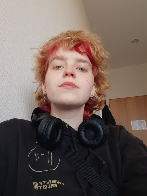 Hochgeladenes Bild Nummer 1